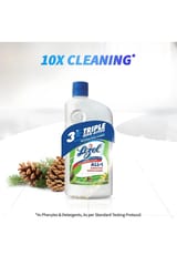 Lizol Surface Cleaner Pine 975ml