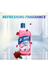 Lizol Surface Cleaner Floral 500ml