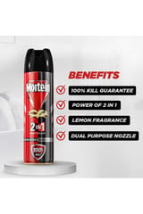 Mortein 2in1 Cockroaches Mosquitoes Spray 425ml