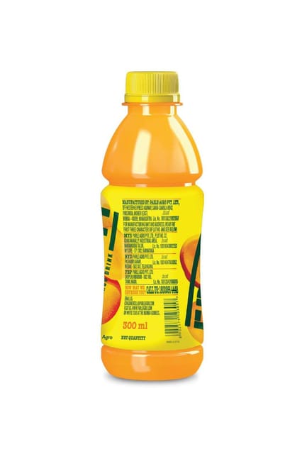 Frooti Bottle 300ml