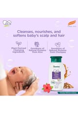 Himalaya Gentle Baby Shampoo 100ml