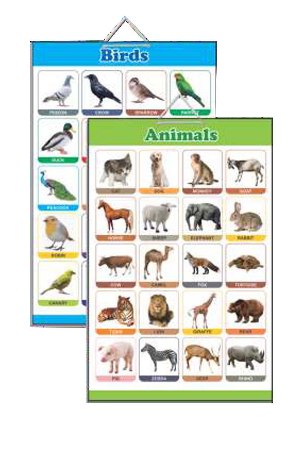 Olympia educational chart (MDF board) size 12*18 inches(4mix) alphabets, number, birds, animals  AE 012