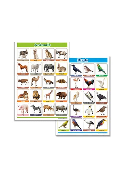 Olympia educational chart (MDF board) size 12*18 inches(4mix) alphabets, number, birds, animals  AE 012