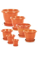 Aristo Planter 12 Without Tray Assorted 1 Pcs