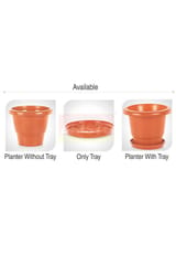 Aristo Planter 12 Without Tray Assorted 1 Pcs