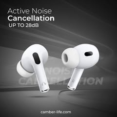 CamBuds100-ANC Earbuds